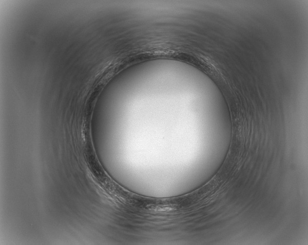 X0000059780643200510210856