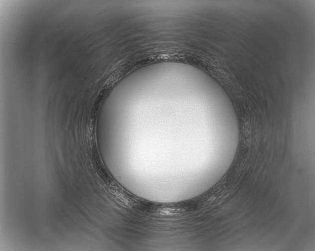 X0000059780657200510210856