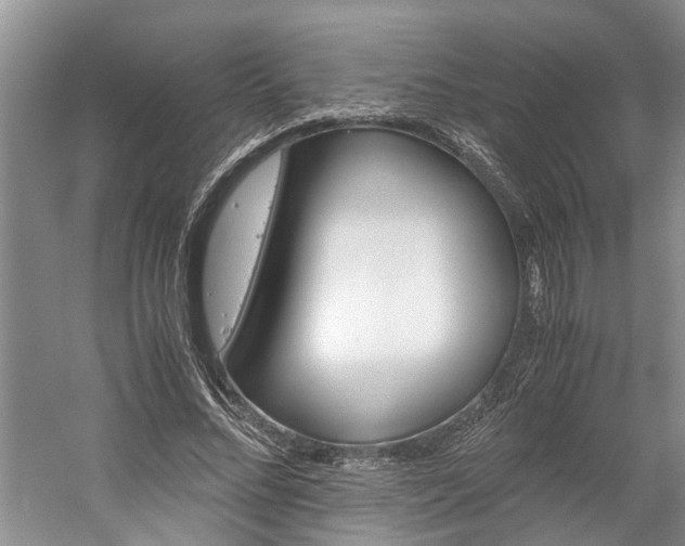 X0000059780684200510210856