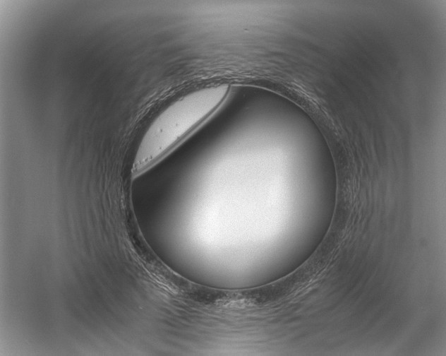 X0000059780689200510210855
