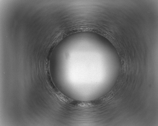 X0000059780712200510210855