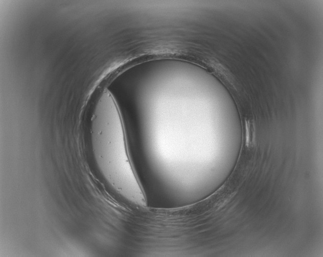 X0000059780723200510210854