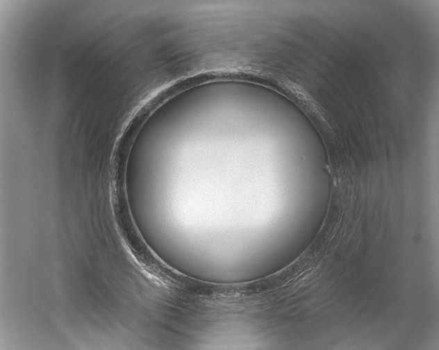 X0000059780728200510210854