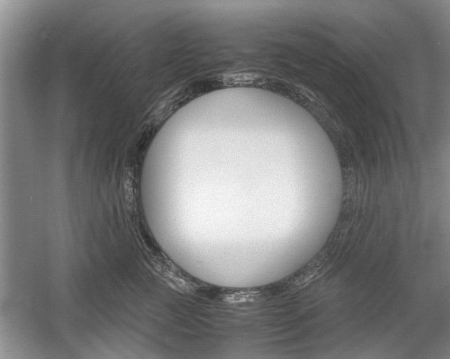X0000059780761200510210855