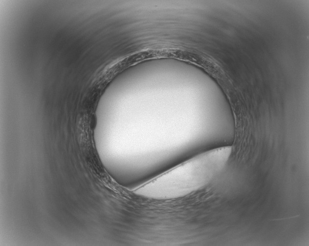X0000059780773200510210854