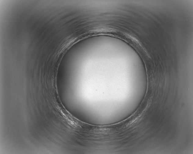 X0000059780833200510210853