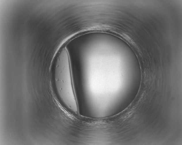 X0000059780838200510210853