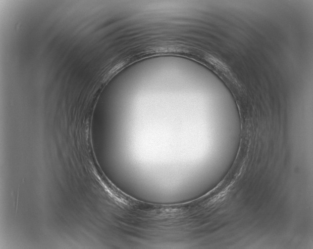 X0000059780841200510210853