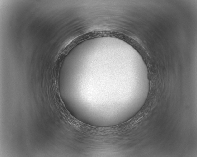 X0000059780871200510210852