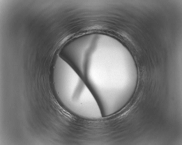 X0000059780921200510210851
