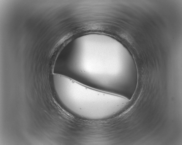 X0000059780922200510210851