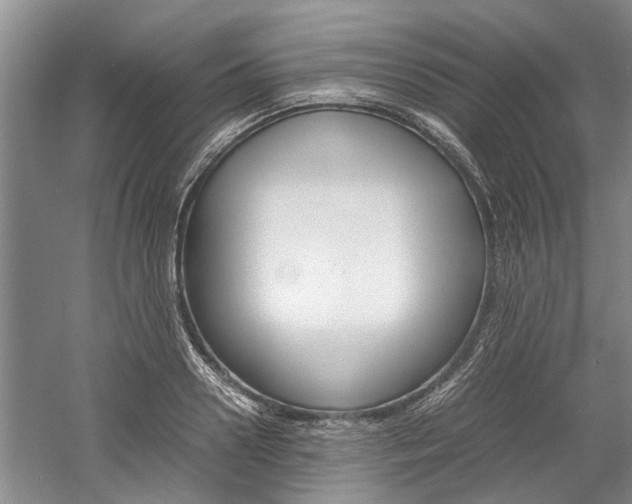 X0000059780938200510210851
