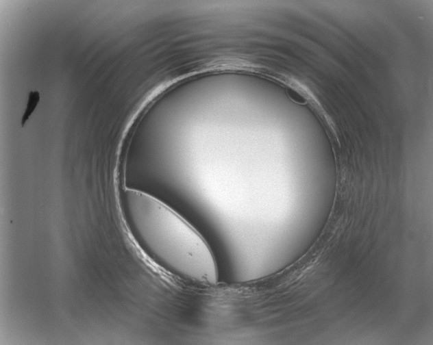 X0000059780947200510210851