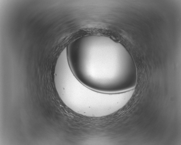 X0000059780965200510210851