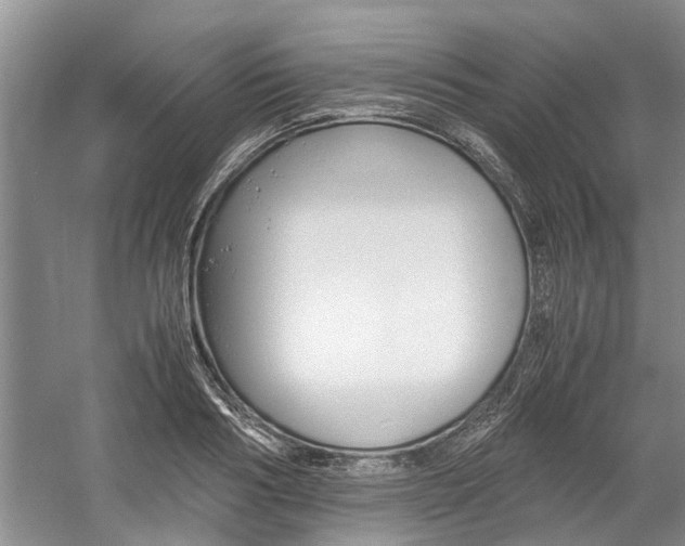 X0000059780986200510210850