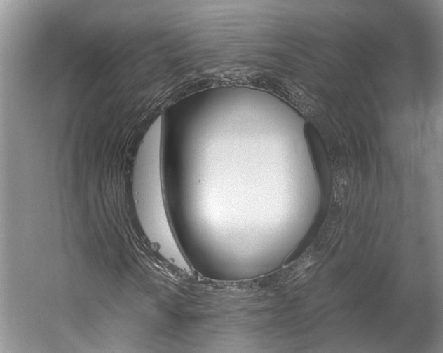 X0000059781010200510210849