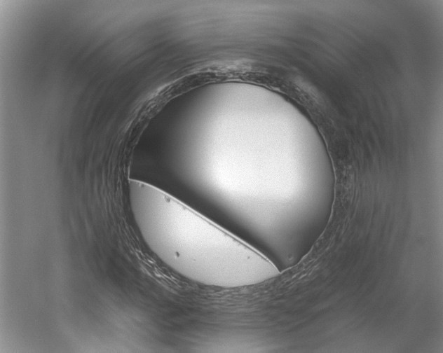 X0000059781016200510210849