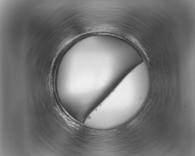 X0000059781072200510210849