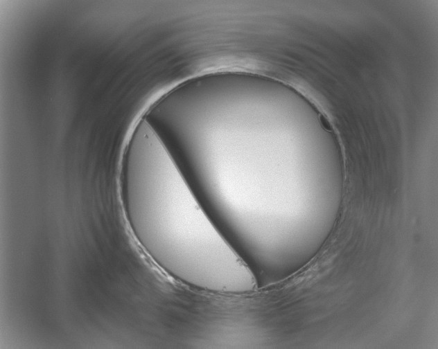 X0000059781104200510210848