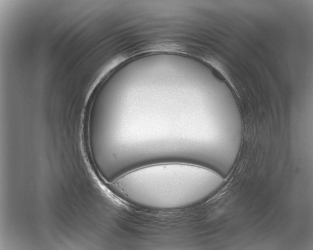 X0000059781139200510210848