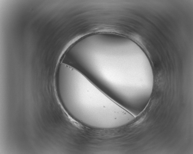 X0000059781149200510210848