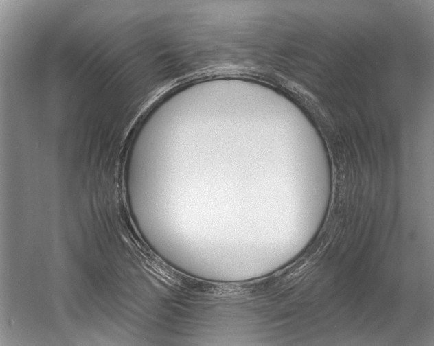 X0000059781170200510210847
