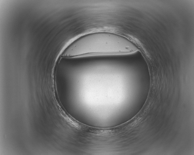 X0000059781184200510210847