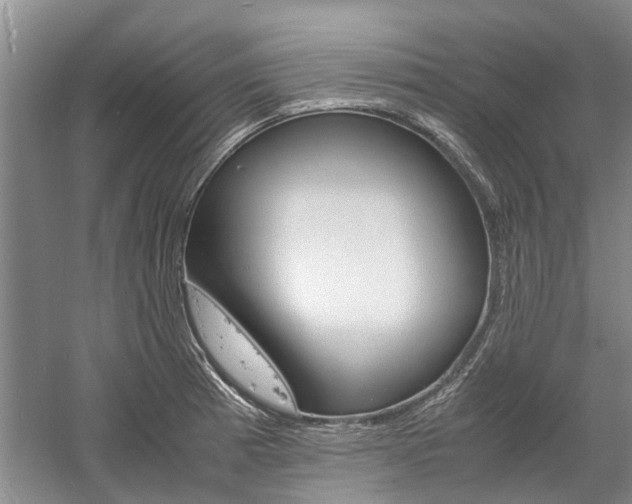 X0000059781185200510210847