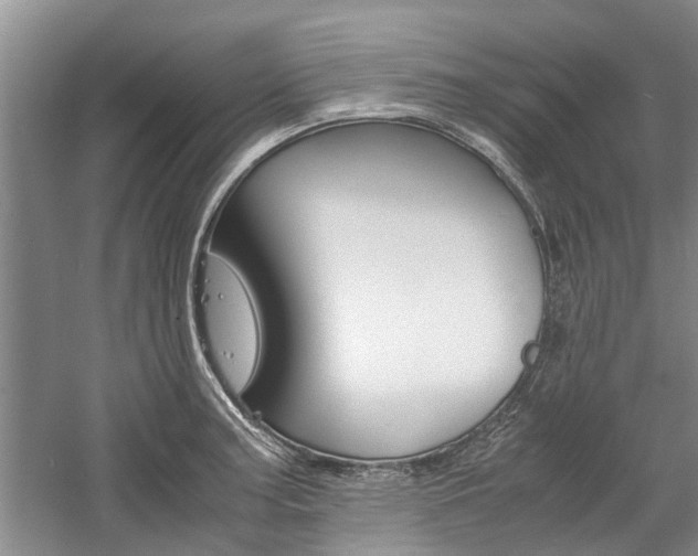 X0000059781187200510210847