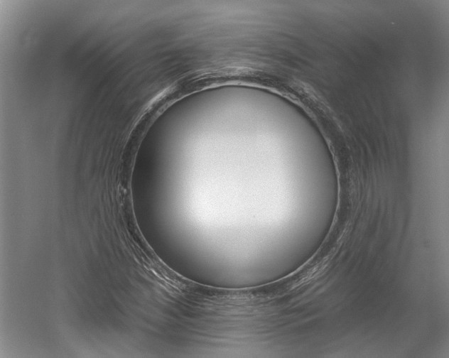 X0000059781210200510210846