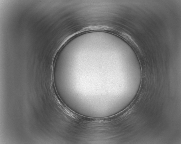 X0000059781228200510210846