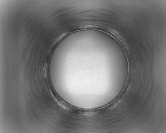 X0000059781233200510210847