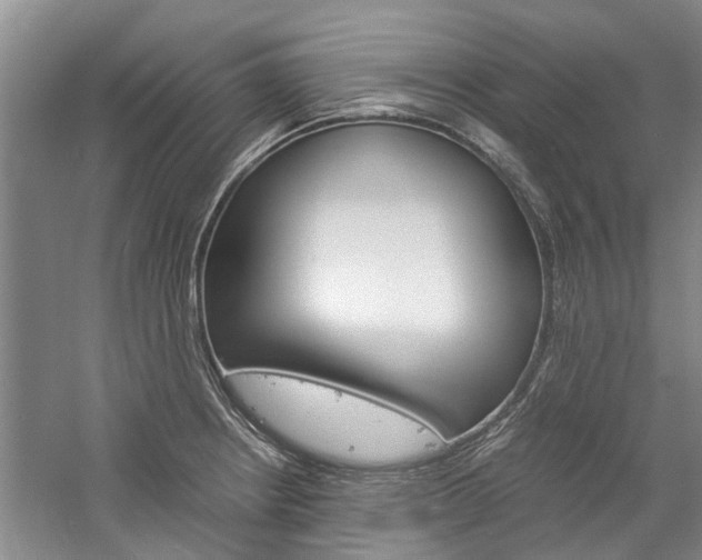 X0000059781234200510210847
