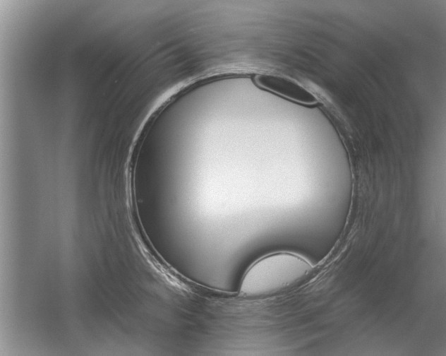 X0000059781238200510210847