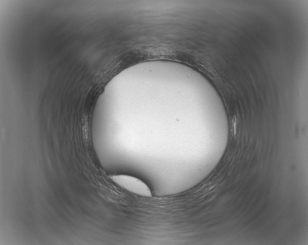 X0000059781251200510210846