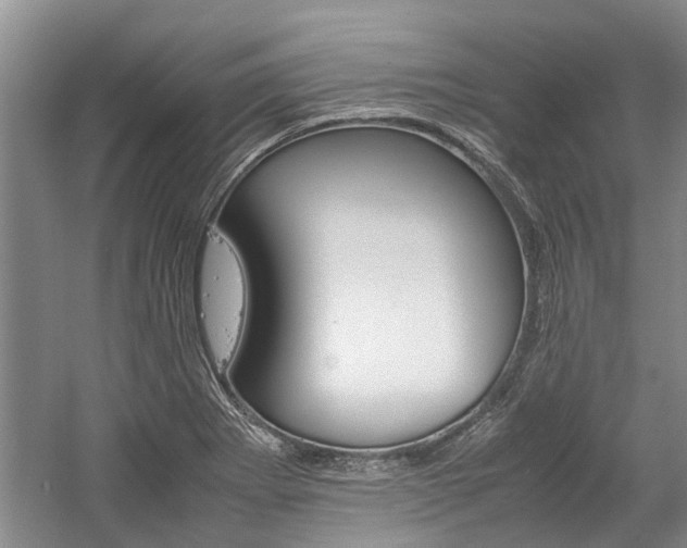 X0000059781273200510210846