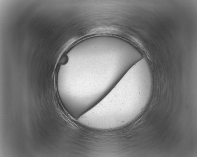 X0000059781275200510210846