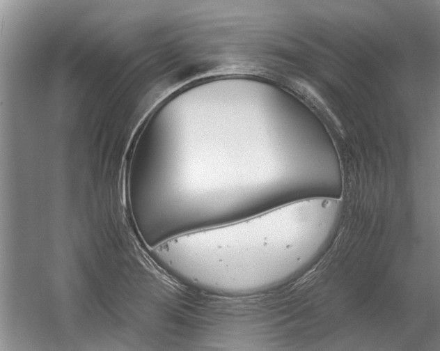 X0000059781276200510210846