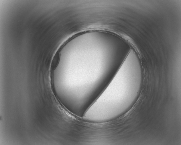 X0000059781288200510210845