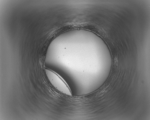 X0000059781300200510210844