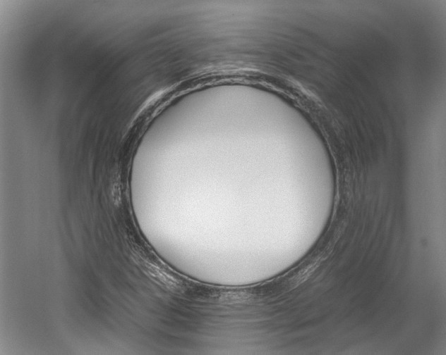 X0000059781306200510210845