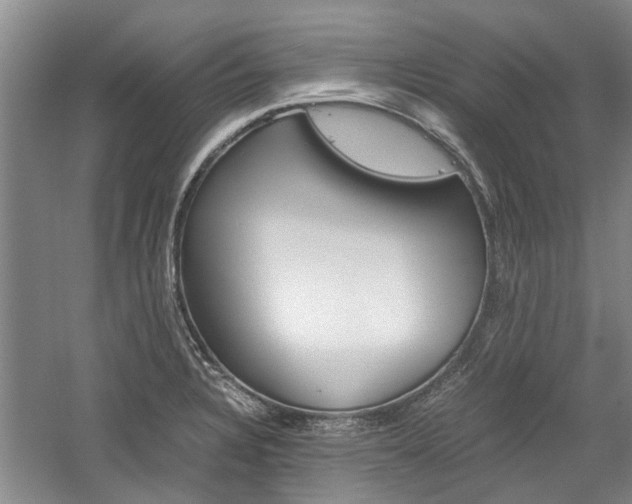 X0000059781328200510210845