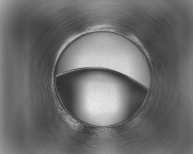 X0000059781336200510210845