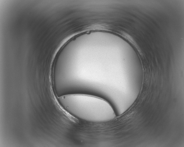 X0000059781339200510210845