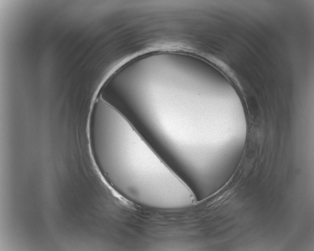 X0000059781343200510210845