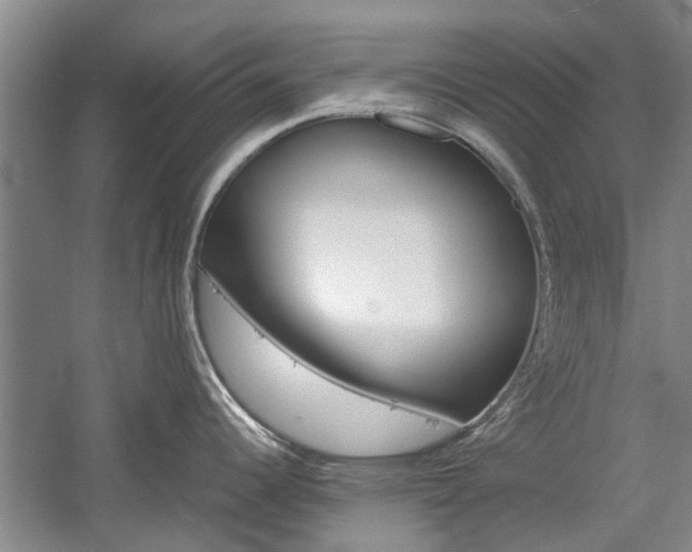 X0000059781344200510210845