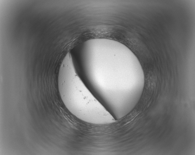 X0000059781346200510210844