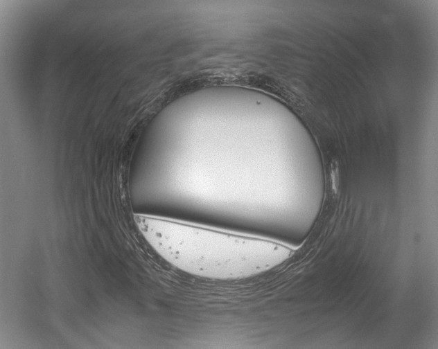 X0000059781347200510210844