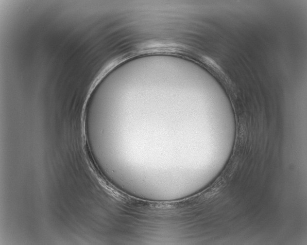 X0000059781370200510210844