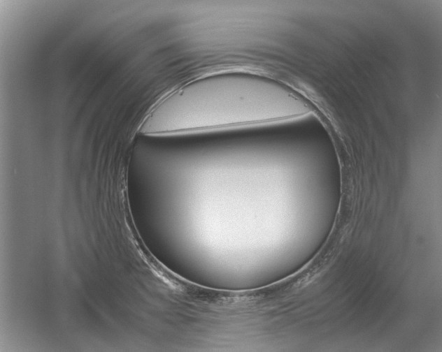 X0000059781377200510210844